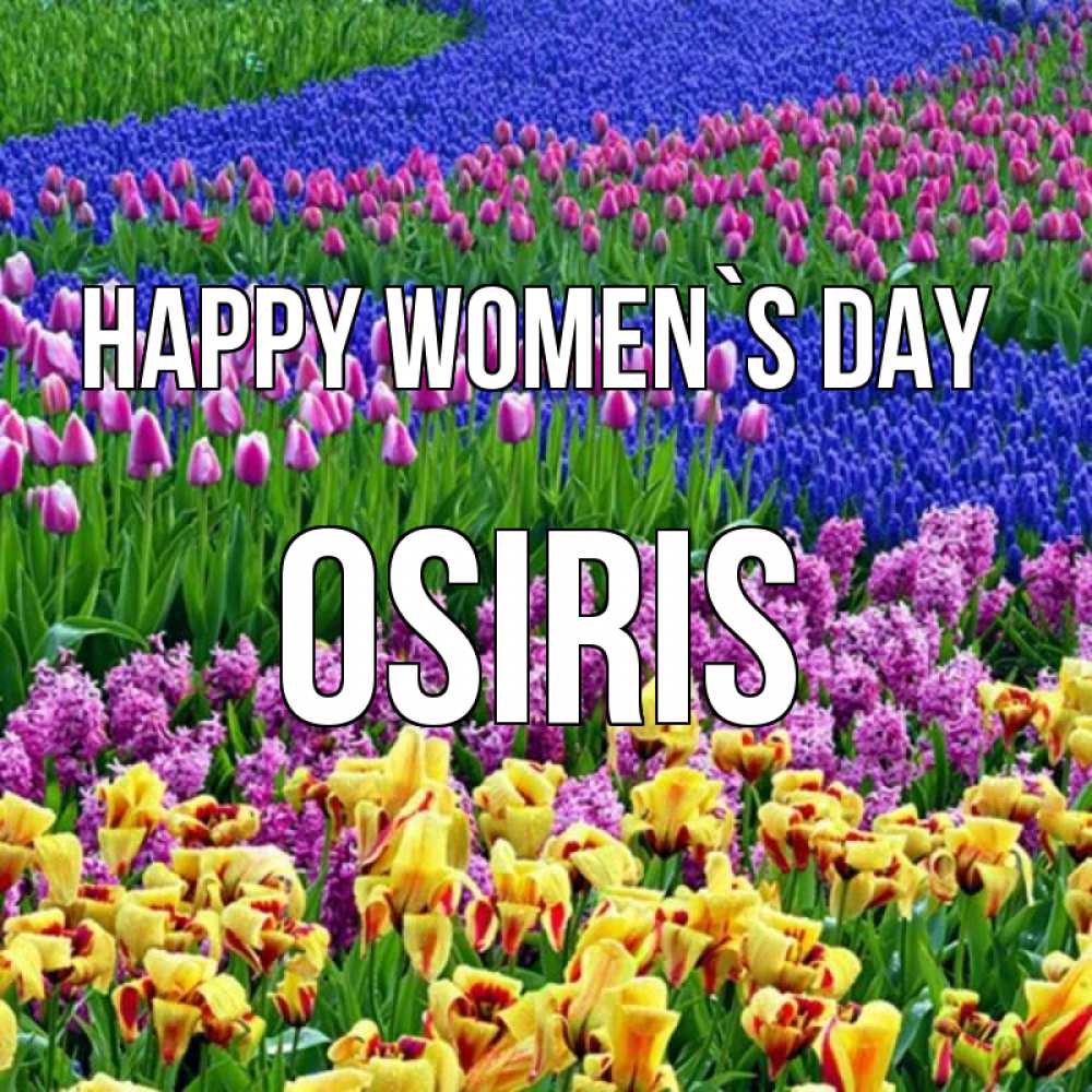Greetings card с именем, Osiris happy women`s day цветы Greetings with text for free download 